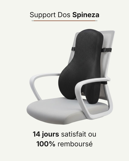 Support Dos Spineza